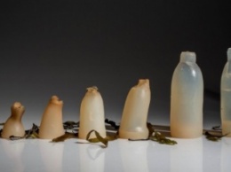 Студент изобрел экологически чистые бутылки из водорослей