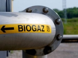 Пальмирский сахарный завод переоборудуют на биогазовую станцию