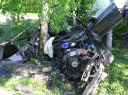 В Рязанской области Audi врезался в дерево – погибли два человека
