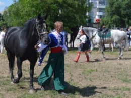 В Северодонецке выступил областной казачий конный театр (ФОТО)