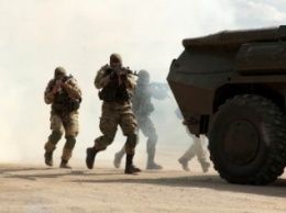 Спецназ вблизи Мариуполя нейтрализовал диверсантов (ФОТО)