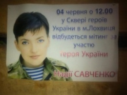 На Полтавщине Савченко агитировала за кандидата