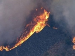 Old Fire: в Калифорнии бушует пожар, огонь достигает 15 метров
