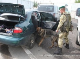 На КПП Донецкой области служебный пес задержал товара на 70 тысяч