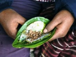 Мьянма запрещает жевать бетель на публике
