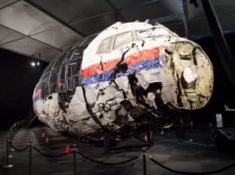 Эксперты проверят, могли ли MH17 над Донбассом сбить случайно