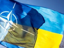 Почти 60% участников АТО выступают за вступление Украины в НАТО - Центр Разумкова