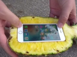 Американцы проверили, спасет ли ананас iPhone 6s при падении с 30-метровой высоты [видео]