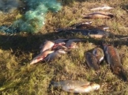 На берегу Каховского магистрального канала участковым инспекторам попался браконьер