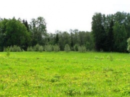 Семьям Небесной сотни выделили более 40 гектаров запорожской земли