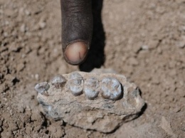 В Эфиопии нашли нового предка человека