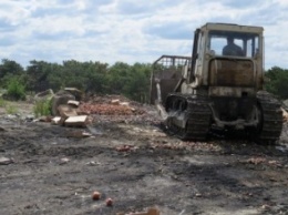 В Симферополе уничтожили более 15 тонн фруктов, завезенных из Польши и Испании (ФОТО)