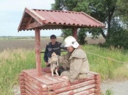 На Днепропетровщине благодаря OBSE из колодца спасли кота