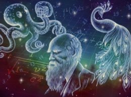 Внеземной разум III: сад осьминогов и «Страна слепых»