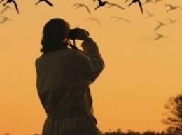 Навстречу мечте: как птицы вернули мир художницы с головы на ноги