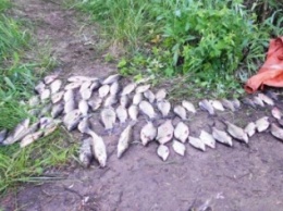 Криворожский браконьер "нарыбачил" в соседней области себе срок до трех лет с конфискацией (ФОТО)