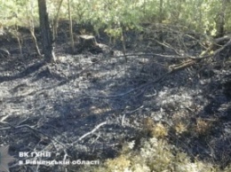 В Ровенской области двое мужчин привязали подростка к дереву и устроили вокруг него пожар