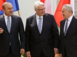 Польша, Турция и Румыния выступают за укрепление восточного фланга НАТО