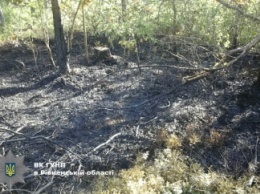 В Ровненской области подростка привязали к дереву и пытались сжечь заживо