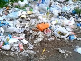 В парке имени Мершавцева образовывается мусорная свалка (фото)