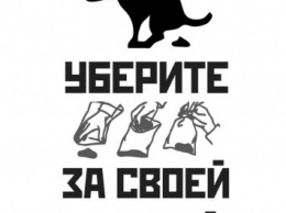 «Фекальный бум» в Одессе грозит горожанам вспышками заболеваний - эксперт