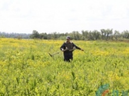 Поля Славяносербского района усеяны снарядами. Фото