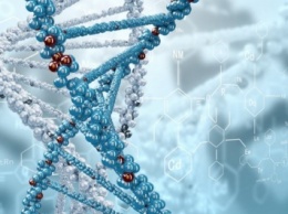 Ученые: ДНК содержит несколько слоев информации