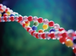 Ученые: Нити ДНК содержат второй слой информации