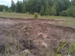 В Черниговской области незаконно вывезли песок и уничтожили 2 гектара леса