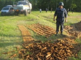 В парке на Сумщине нашли огромный арсенал боеприпасов Второй мировой (фото)