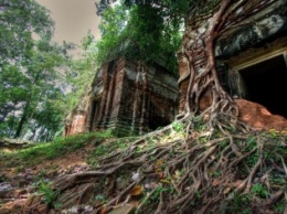 Археологи обнаружили в джунглях Камбоджи гигантские затерянные города