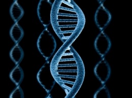 Ученые подтвердили, что ДНК содержит второй слой информации