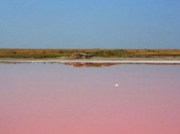 В Херсонской области есть розовое озеро с целебной водой (фото)