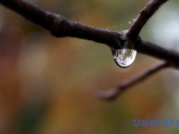 Синоптики на понедельник обещают небольшие дожди
