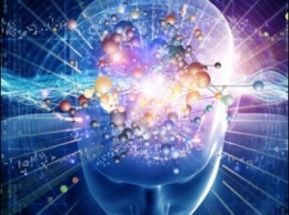 Ученые: человеческий мозг предсказывает будущее