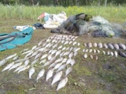 Браконьеры из Черниговской области «порыбачили» на 11 тысяч