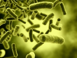 Ученые научились диагностировать рак с помощью бактерий