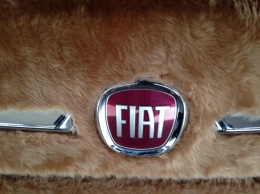 Ты моя лапочка: Fiat 500 в шкуре… лабрадора!