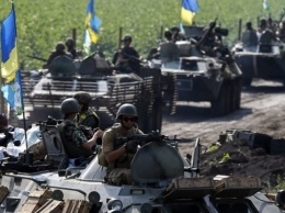 В Украине в настоящее время создается мощная армия - Полторак