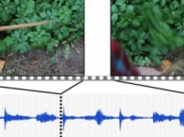 Компьютер научился качественно озвучивать видеоролики, не имеющие аудиоряда