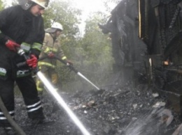 Бомжи устроили крупный пожар рядом с Черниговом