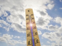 В Украине ожидается жара до 30 градусов с пятницы - Н.Кульбида