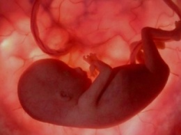 Спорткар в утробе беременной (ФОТО)