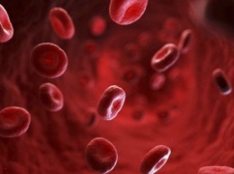 Невероятные факты о человеческой крови