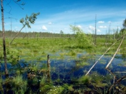 На Днепропетровщине в болоте чуть не погибла пенсионерка
