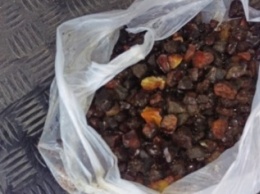 На Житомирщине полицейские изъяли у копателей-нелегалов около 2 кг янтаря