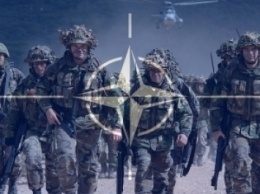 В НАТО рассказали о членстве Украины в альнсе