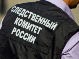 Следователи занялись проверкой драки двух школьниц в Нижнем Новгороде