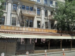 В центре Одессы ресторан погубил живые деревья (ФОТО)