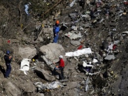 ЦРУ: В крушении российского самолета в Египте виновен филиал ИГИЛ на Синае